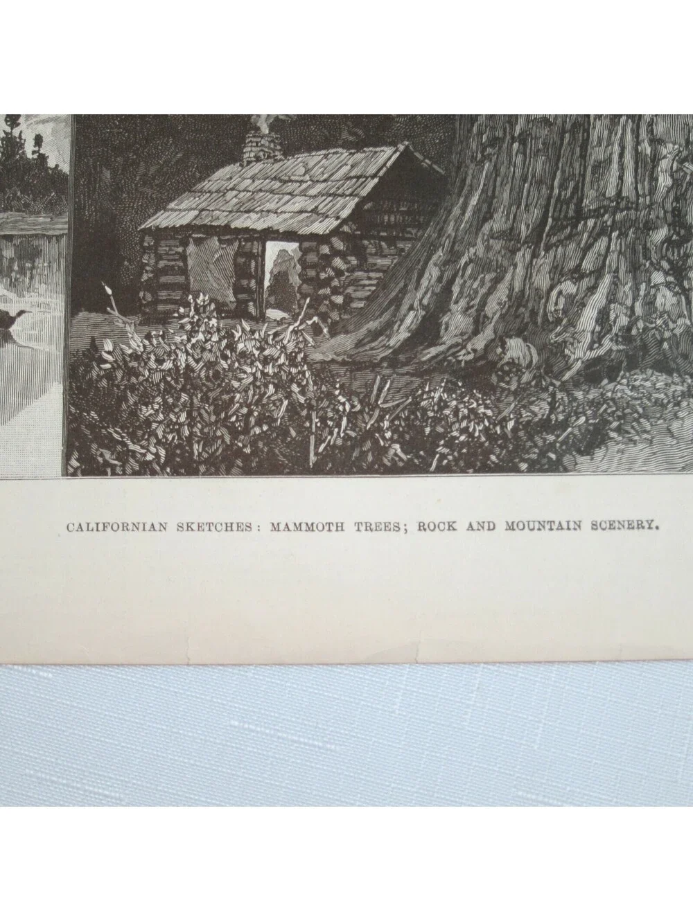Antique 1888 Print Californian Sketches Mammoth Trees Rocks and Mountain Scenery
